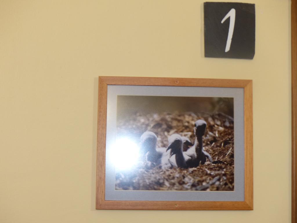 Casa Rural Pena Falcon Torrejón el Rubio Esterno foto